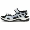 ECCO Outdoorsandalen - Air Dusty Blue