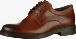 ECCO Nette Schoenen Veterschoen Heren Bruin