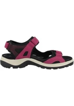 ECCO Outdoorsandalen - Sangria-Fig (069563-51760) 11 ECCO Outdoorsandalen - Sangria-Fig (069563-51760) -Schoenen Verkoop 50b40fc168864c98a1a74306b5d2b641