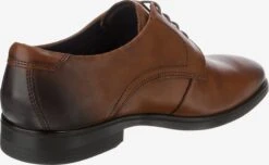 ECCO Nette Schoenen Veterschoen Melburne Heren Bruin 11 ECCO Nette Schoenen Veterschoen Melburne Heren Bruin -Schoenen Verkoop 5832647c96f00e760dd9e8cfd84fc6c0