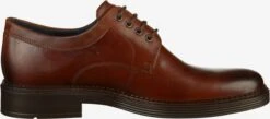 ECCO Nette Schoenen Veterschoen Heren Bruin -Schoenen Verkoop 8b0fc4c460667d12ea43baec1be8551f