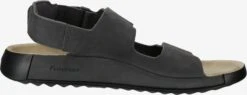 ECCO Sandalen & Pantoffels Sandalen Heren Antraciet -Schoenen Verkoop 9d39bea949888e30b53ed4bfa262ccd0