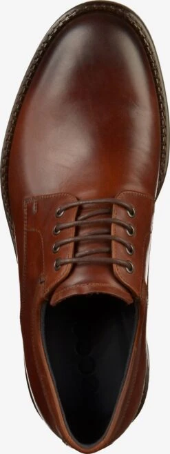 ECCO Nette Schoenen Veterschoen Heren Bruin -Schoenen Verkoop a5cf1f96e1f081d7fde0020424d2fd80