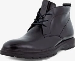 ECCO Nette Schoenen Veterschoen Heren Zwart